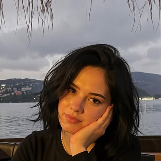 AI Lana icon